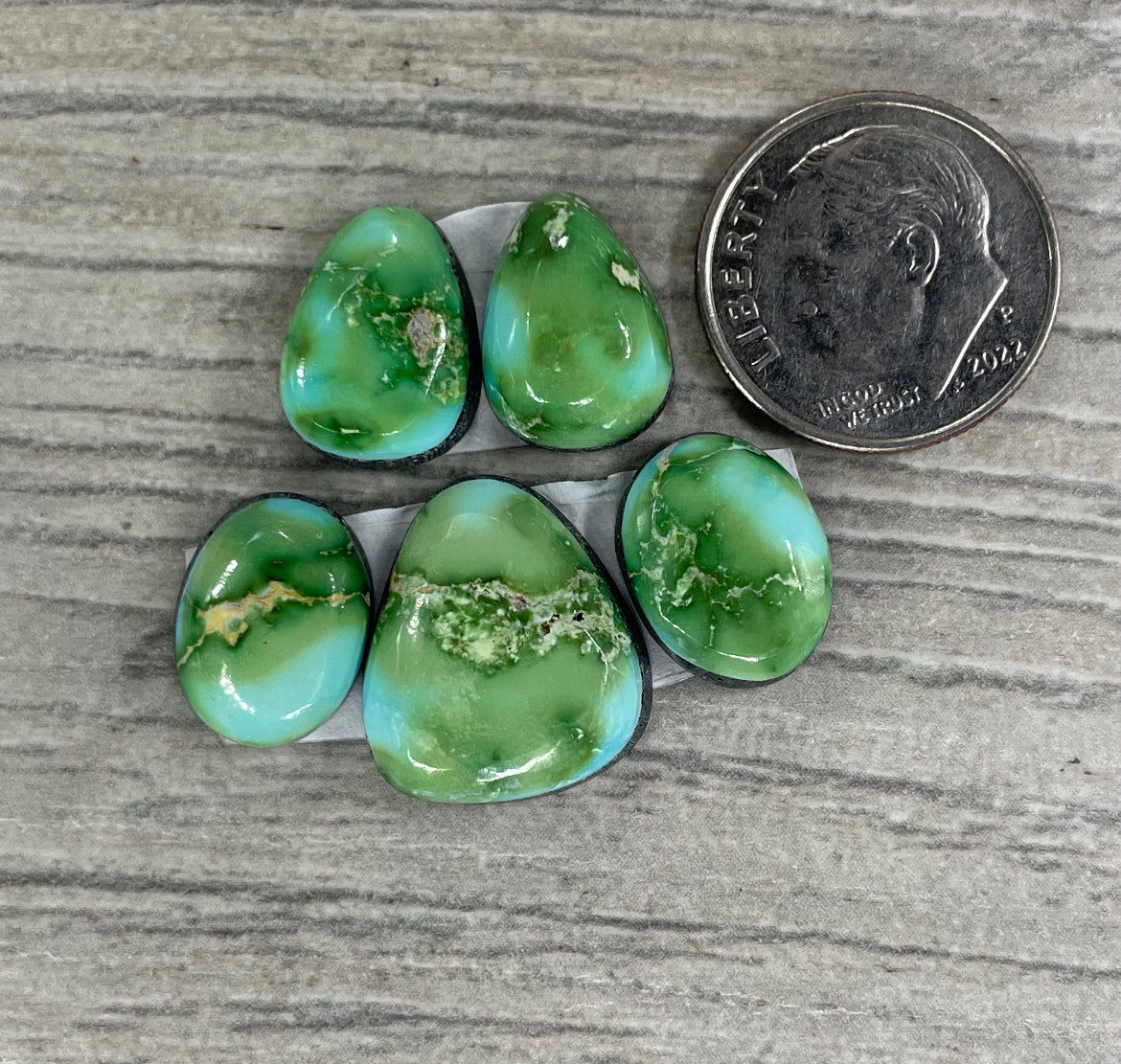 Sonoran Mountain Turquoise Buffalo Coin Pendant