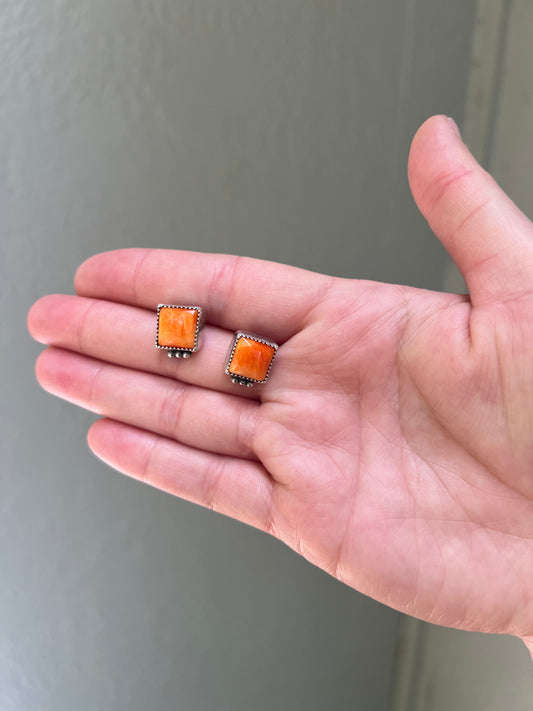 Spiny Oyster Square Stud Earrings